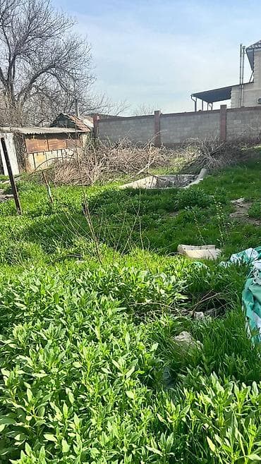 flat on rent: 2 соток — 2