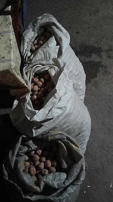 купить овец: Продаю грецкие орехи, цена договорная — 3