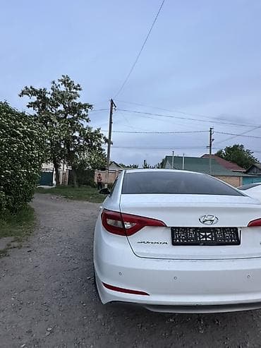 hyundai sonata 2016 цена: Hyundai Sonata: 2019 г., 2 л, Автомат, Газ, Седан — 7