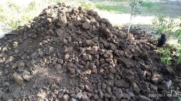 заказать уголь: Заказать Самосвал, Доставка щебня, угля, песка, чернозема, отсев — 3