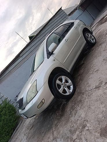 дом машина цена: Lexus RX: 2003 г., 3 л, Автомат, Бензин, Кроссовер — 9