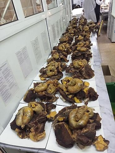 яблоко адама: Мал сойуп, бышырып тартабыз выезд, эт килограмм тартып беребиз — 5