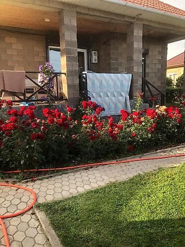 Сдается 6 местный коттедж в г. Чолпон-Ата,в коттеджном городке. 3
