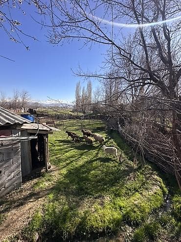 модульный дом в рассрочку: 📍В Сокулуке от трассы 900 м продается мансардный дом на участке 13 — 4
