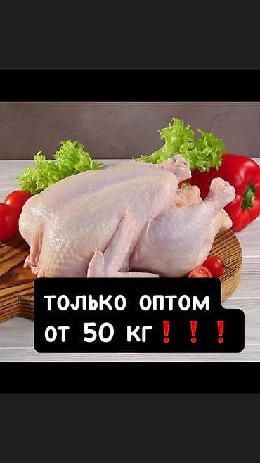 козу сатылат бишкек: 🐥Куры Бройлеры (250сом/кг) 🐥Домашние(бульонные) куры (290сом/кг) — 7