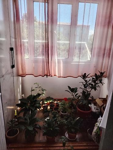Батирлерди сатуу: 2 бөлмө, 52 м², Жеке план, Жеке план, 3 кабат, Евро оңдоо — 8