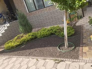 посадка растений: Ландшафтные работы и благоустройство участка - Проектирование — 5