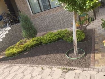 газонная трава цена бишкек: Посев газона🌱🌱🌱по доступной цене
Работаем под ключ 🔑 — 1