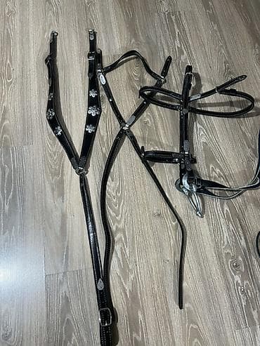 Аквариумы: Упряжь/амуниция для лошади (набор элементов) - Материал: кожа с — 8