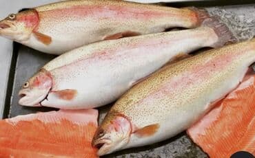 1 кг картошки цена бишкек: Свежий, 2 кг, Платная доставка — 1