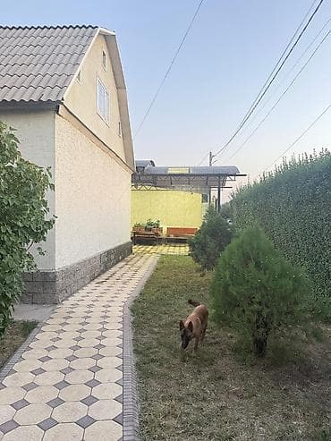 Полки, стеллажи: Навес, Арочный, Металл, Поликарбонат — 5