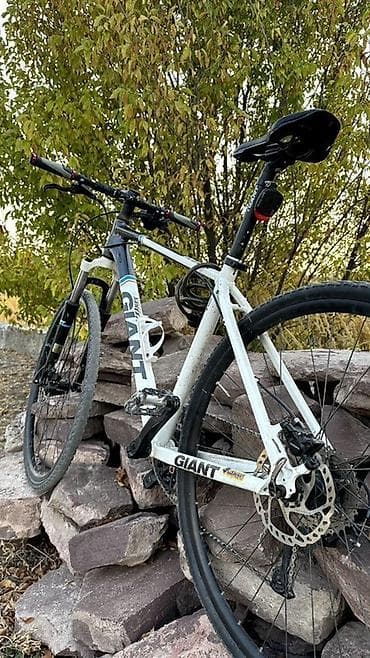 покрышка на велосипед: Городской велосипед, Giant, Рама M (156 - 178 см) — 1