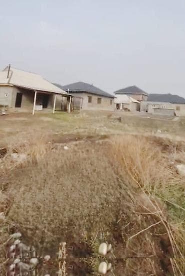 орго: 3 соток, Курулуш, Кызыл китеп — 3