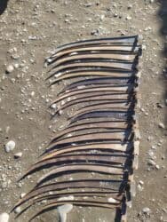 садовый измельчитель бишкек: Косы, Самовывоз — 1