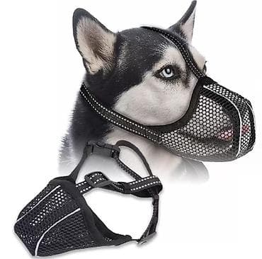 Большой выбор намордников для выгула собак,а так же