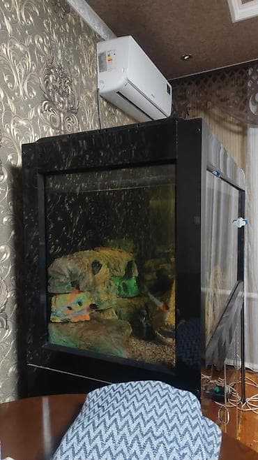 Ветеринар кызматы: Большой аквариум с тумбой - Примерный объем: 1000л (панорамная — 2