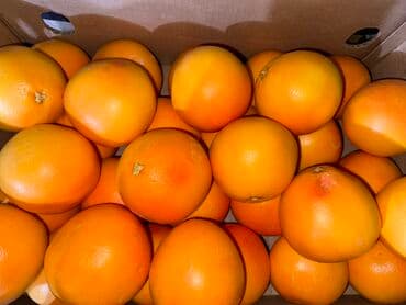 продам виноград на вино: ГРЕЙПФРУТ ( GRAPEFRUIT ) ЦЕНА : ( ОПТОВАЯ ) ПРОИЗВОДСТВО: ЮАР ( — 1