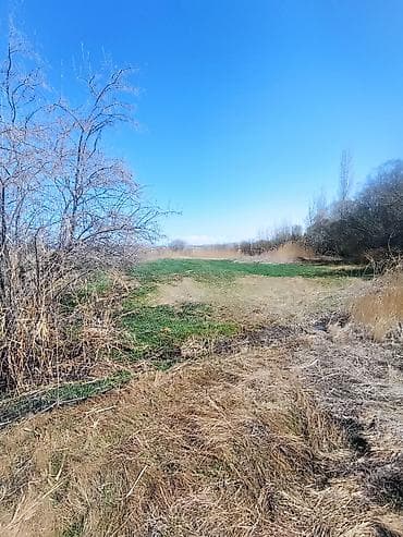 исык куль 2025: 10 соток, Для бизнеса, Красная книга — 1