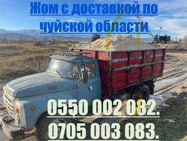 отдам собаку в добрые руки: Дешево арзан жом жом жом дешево, зил по чуйской области!!!Быстрая — 1