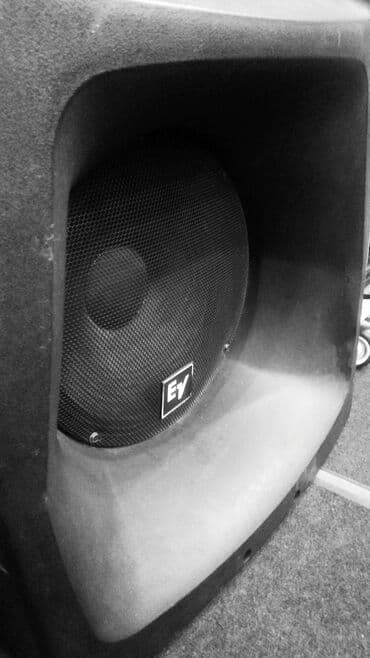 усилитель для динамиков: Electro-Voice Sx500 - это двухполосная акустическая система с — 2