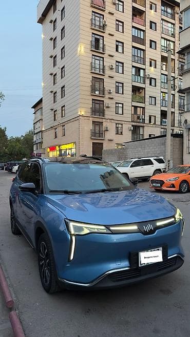 bvd e2: Weltmeister W6, 2022 г., 98000 км, Передний, В наличии — 6