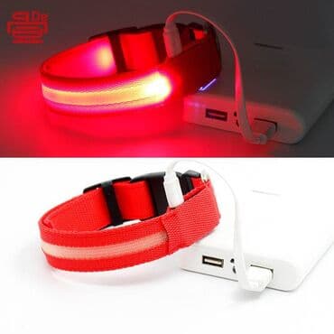 ошейник для кошек: Ошейник для средних собак и кошек, нейлоновый, светящийся — 2