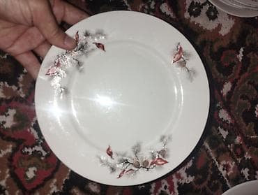 Кафелер, ресторандар үчүн: Фарфоровые столовые тарелки всё в комплекте, пишите по Вотсап или — 7