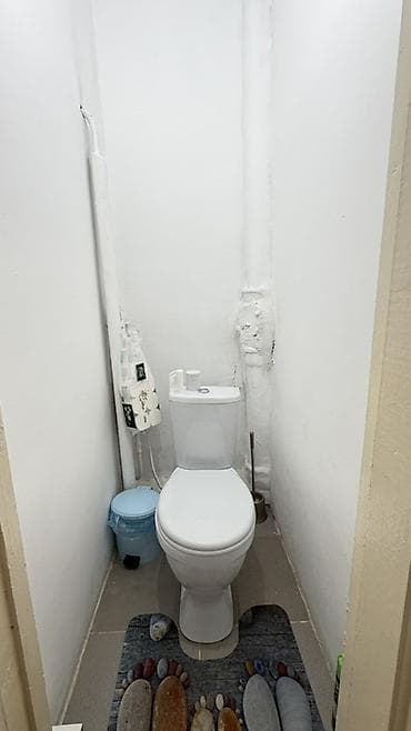 3х комнатные продаю: 3 комнаты, 70 м², Индивидуалка, Косметический ремонт — 7