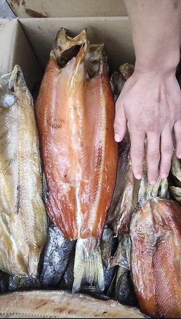 палочки шашлычные: Копченная Форель Оптом и в розницу отправка в регионы В Бишкек до — 3