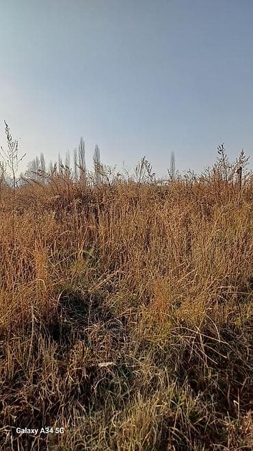 продаю участок кызыл туу: 4 соток, Для строительства, Красная книга — 2