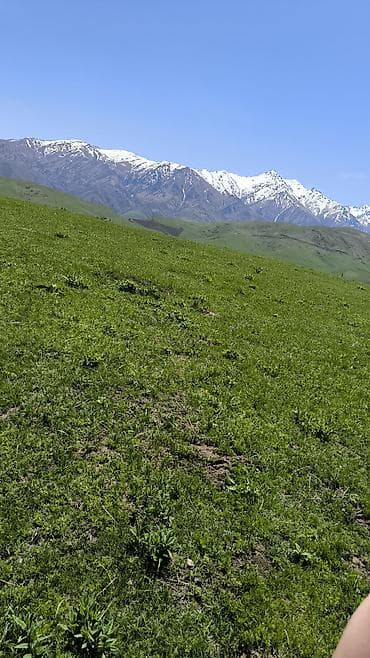12 струнная гитара: Авторская музыка и песня на заказ под вашу тему - Напишем — 2