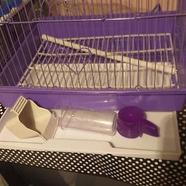 купить бычка: Клетка высота 40смкорм,жорка,, 1500с — 2