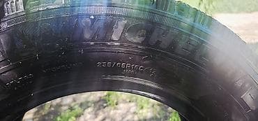 Транспорт: Шиналар 235 / 65 / R 16, Кыш, Жеңил коммерциялык транспорт (C/LT), Michelin — 1