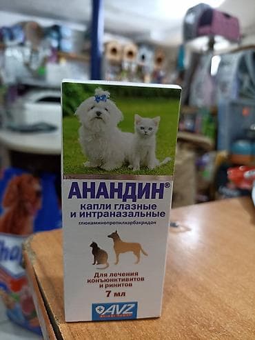 аллер аква: Анандин — капли глазные и интраназальные для животных (кошек и собак) — 1