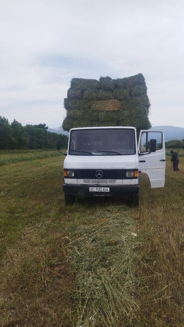 срочно продаю в связи с переездом: Мерс гигант 814 1990 объём 4 турбированный мотор зелёный цвет белый — 2