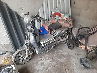 электроскутер t rex: Электроскутер Panda

срочно срочно срочно продаю бу — 1