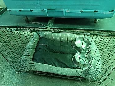 Хорьки: Клетка переноска подстилка размер под клетку одежка все б/у кое где — 1