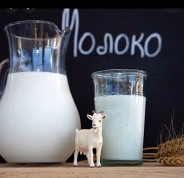 кымыз бышкыч: Козье молоко, козий йогурт без привкуса 250-сом с доставкой - — 2