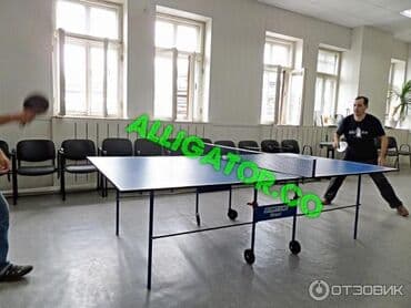 настольный теннис купить стол: Теннисные столы от производителя Star Line Optima для помещений — 1