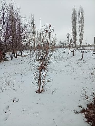 дом в бишкека: Дом, 19 м², 3 комнаты, Собственник — 6