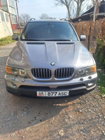 шины для фронтальных погрузчиков: BMW X5: 2004 г., 3 л, Автомат, Дизель, Универсал — 1