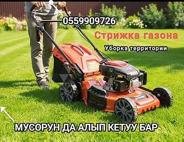 Уборка территории, Стрижка газона