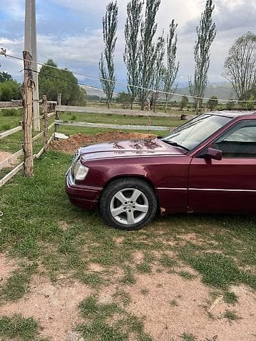 Продажа авто: Mercedes-Benz 220: 2026 г., 2.9 л, Механика, Дизель, Универсал — 5