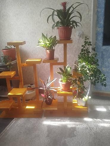 Полка, этажерка для цветов, Дерево