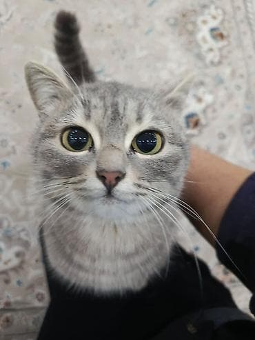 11 месяцев, Девочка