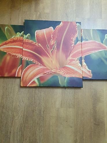 Триптих на холсте: «Лилия» - Состав: 3 картины на подрамниках, единый