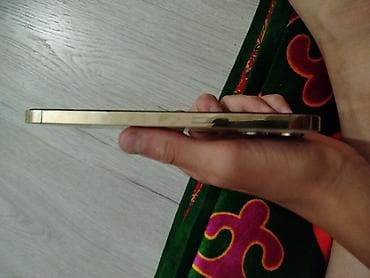 iphone 12 pro max купить: IPhone 12 Pro Max, Б/у, 256 ГБ, Золотой, Чехол, 77 % — 3