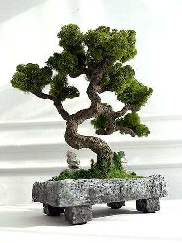 Декор и интерьер: Интерьерные композиции с деревом бонсай из натурального живого — 10