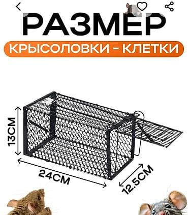 ловушка для мышей: Продаётся крысолова новая ещё даже не открывали цена 800 сом — 1