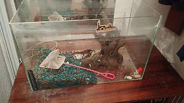 аквариум с рыбками цена бишкек: Аквариум из прозрачного стекла с комплектом аксессуаров — 2